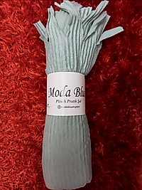 Pratik piliseli Şal