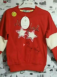 Sweatshirt